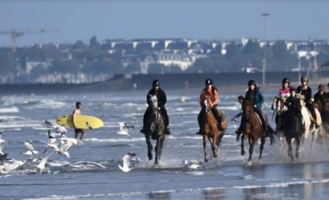 Le Pointeau Les Echappees Belles De L'Ocean 아파트 외부 사진